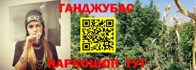 гидропоника Бийск